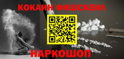 индика Камышлов