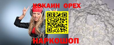 индика Камышлов