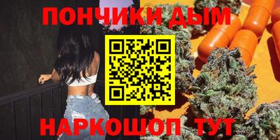 индика Камышлов