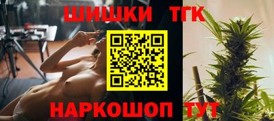индика Камышлов