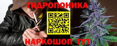 Альфа ПВП Канаш