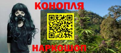 индика Камышлов