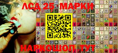индика Камышлов