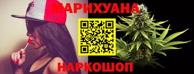 индика Камышлов