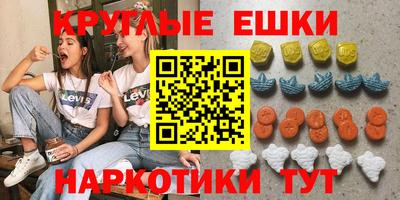 индика Камышлов
