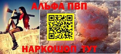 индика Камышлов