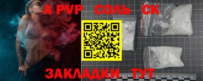 индика Камышлов