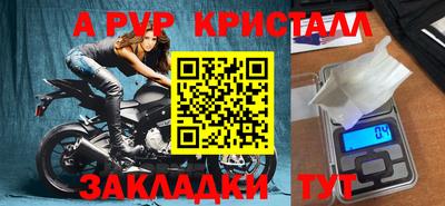 индика Камышлов