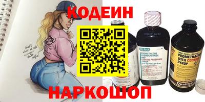 индика Камышлов